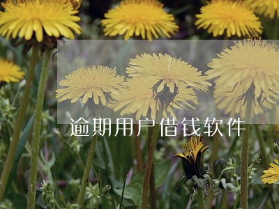 逾期用户借钱软件 逾期用户借钱软件