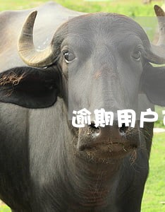 逾期用户可以下钱的口子 逾期用户可以下钱的口子