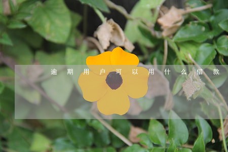 逾期用户可以用什么借款软件 逾期用户可以用什么借款软件