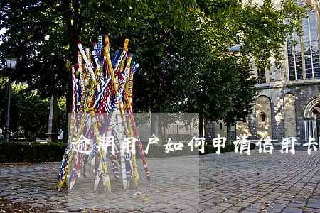 逾期用户如何申请信用卡 逾期用户如何申请信用卡