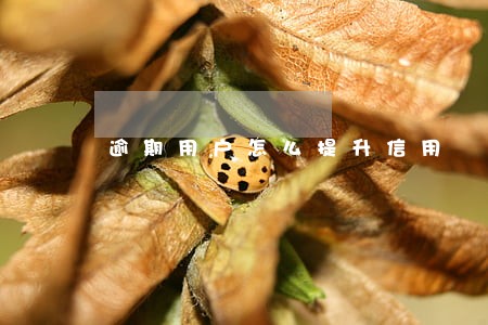 逾期用户怎么提升信用 逾期用户怎么提升信用