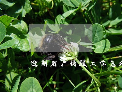 逾期用户提醒工作怎么样 逾期用户提醒工作怎么样