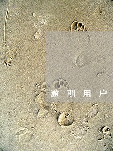 逾期用户是否可以借款