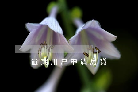 逾期用户申请房贷 逾期用户申请房贷