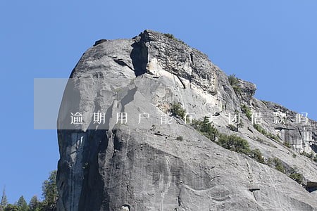 逾期用户能在美团借款吗 逾期用户能在美团借款吗