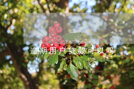 逾期用户贷款可以吗 逾期用户贷款可以吗