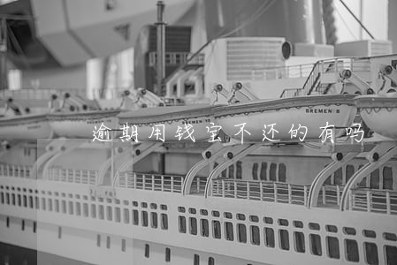 逾期用钱宝不还的有吗