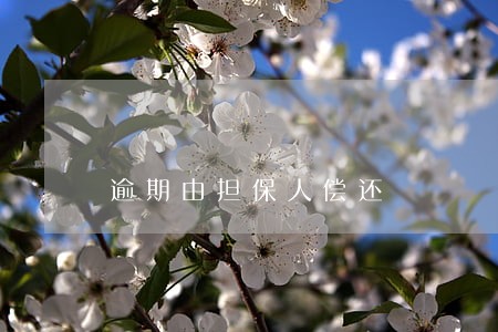 逾期由担保人偿还 逾期由担保人偿还