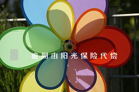 逾期由阳光保险代偿