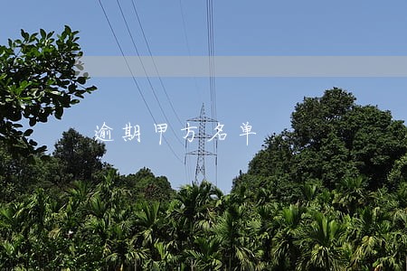 逾期甲方名单 逾期甲方名单