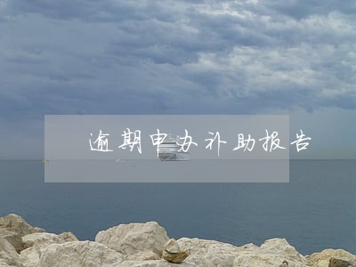 逾期申办补助报告 逾期申办补助报告