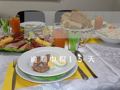 逾期申报15天 逾期申报15天