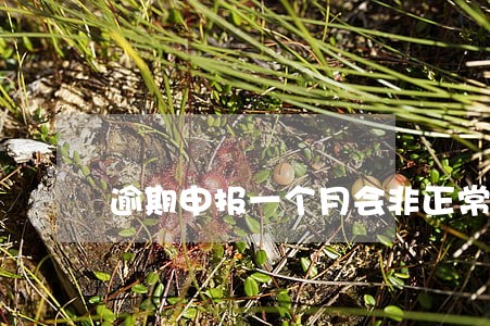 逾期申报一个月会非正常嘛 逾期申报一个月会非正常嘛