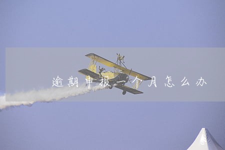 逾期申报一个月怎么办 逾期申报一个月怎么办