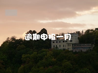 逾期申报一月 逾期申报一月