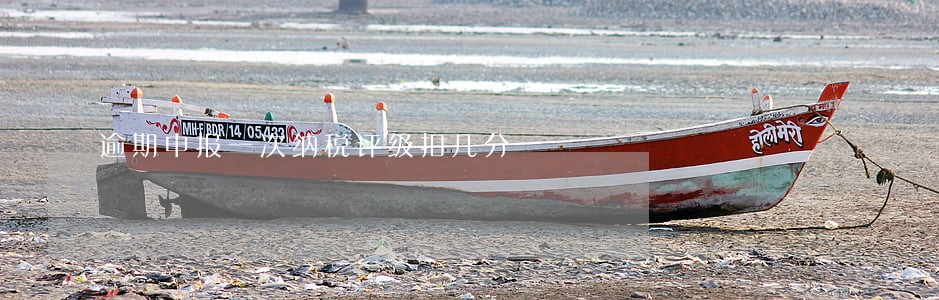 逾期申报一次纳税评级扣几分 逾期申报一次纳税评级扣几分