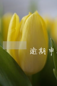 逾期申报上期留抵税额 逾期申报上期留抵税额
