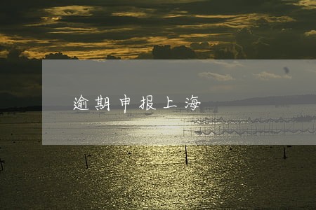 逾期申报上海 逾期申报上海