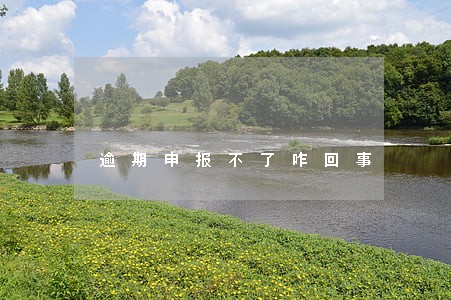逾期申报不了咋回事 逾期申报不了咋回事