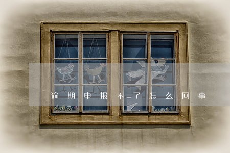 逾期申报不了怎么回事 逾期申报不了怎么回事