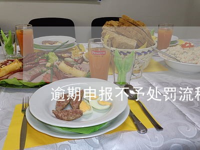 逾期申报不予处罚流程 逾期申报不予处罚流程