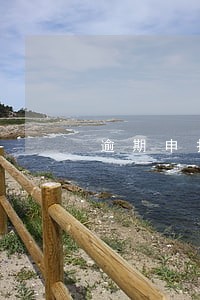 逾期申报不交罚款会怎么样 逾期申报不交罚款会怎么样