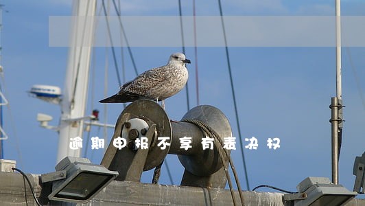 逾期申报不享有表决权 逾期申报不享有表决权
