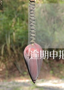 逾期申报不支持申报怎么处理 逾期申报不支持申报怎么处理