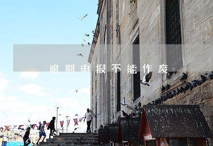 逾期申报不能作废 逾期申报不能作废