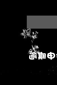 逾期申报不能抵扣 逾期申报不能抵扣