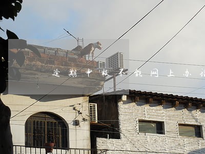 逾期申报不能网上办理了 逾期申报不能网上办理了