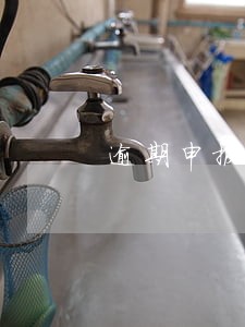 逾期申报专管员会过来么 逾期申报专管员会过来么
