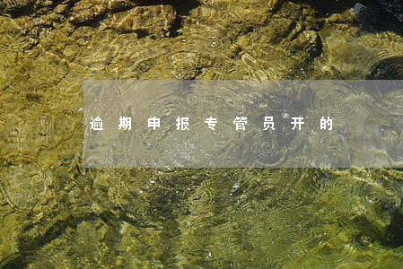 逾期申报专管员开的