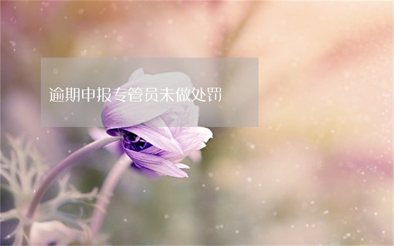 逾期申报专管员未做处罚 逾期申报专管员未做处罚