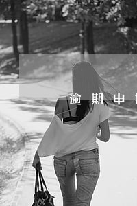 逾期申报专管员登记后多久能处理 逾期申报专管员登记后多久能处理