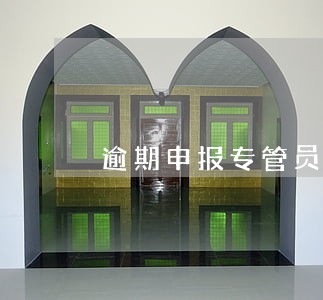 逾期申报专管员罚款 逾期申报专管员罚款