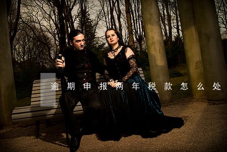 逾期申报两年税款怎么处罚 逾期申报两年税款怎么处罚