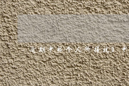 逾期申报个人所得税0申报