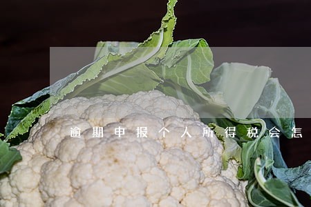 逾期申报个人所得税会怎样 逾期申报个人所得税会怎样