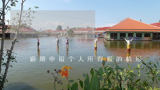逾期申报个人所得税的情形 逾期申报个人所得税的情形