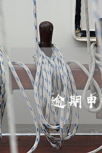 逾期申报个人所得税薪资 逾期申报个人所得税薪资