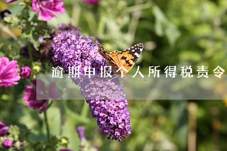 逾期申报个人所得税责令改正 逾期申报个人所得税责令改正