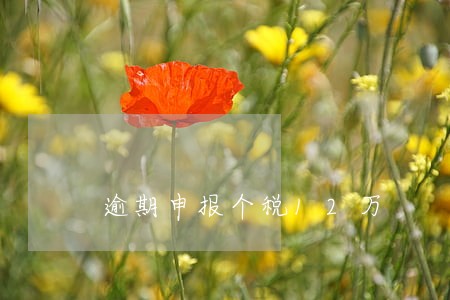 逾期申报个税12万