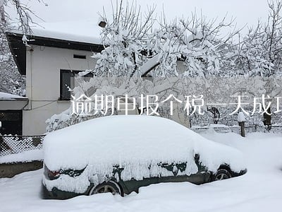 逾期申报个税一天成功 逾期申报个税一天成功