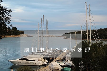 逾期申报个税不处理 逾期申报个税不处理