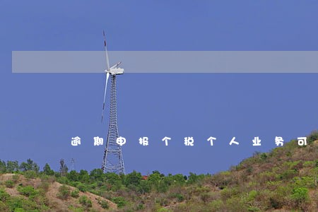 逾期申报个税个人业务可以预约么 逾期申报个税个人业务可以预约么