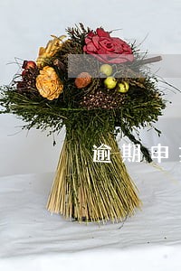 逾期申报个税会影响个人征信吗 逾期申报个税会影响个人征信吗