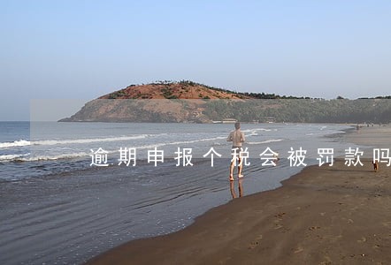 逾期申报个税会被罚款吗