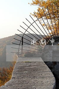 逾期申报个税到大厅带什么资料 逾期申报个税到大厅带什么资料