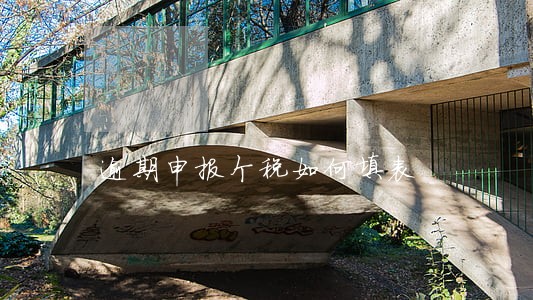 逾期申报个税如何填表